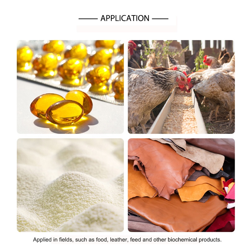Pepsin Enzyme (1000 Activity) For Applications In Food Processing, Feed, And Leather Processing ,etc.