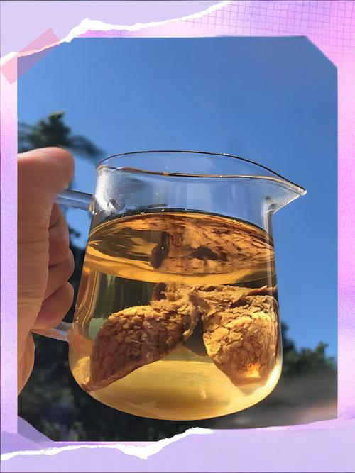 Natural Sterculia Lychnophora Extract - Plant-derived Liquid for Daily Use