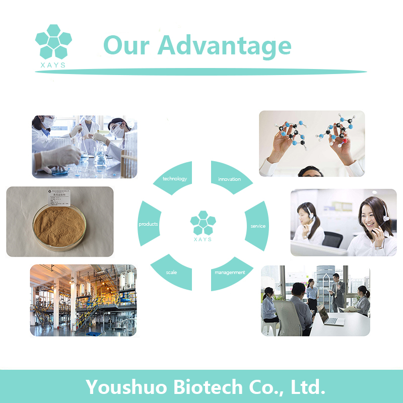 Cosmetic Grade 1-10% HPLC Moisture Retaining Natural Plant-Derived Konjac Root Extract Phytoceramides Powder