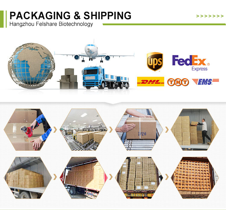 Logistics and shipping process