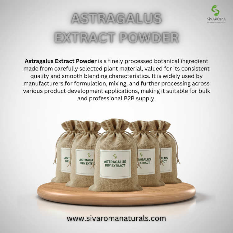 Astragalus Dry Extract Overview