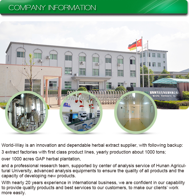 Production Facility 1