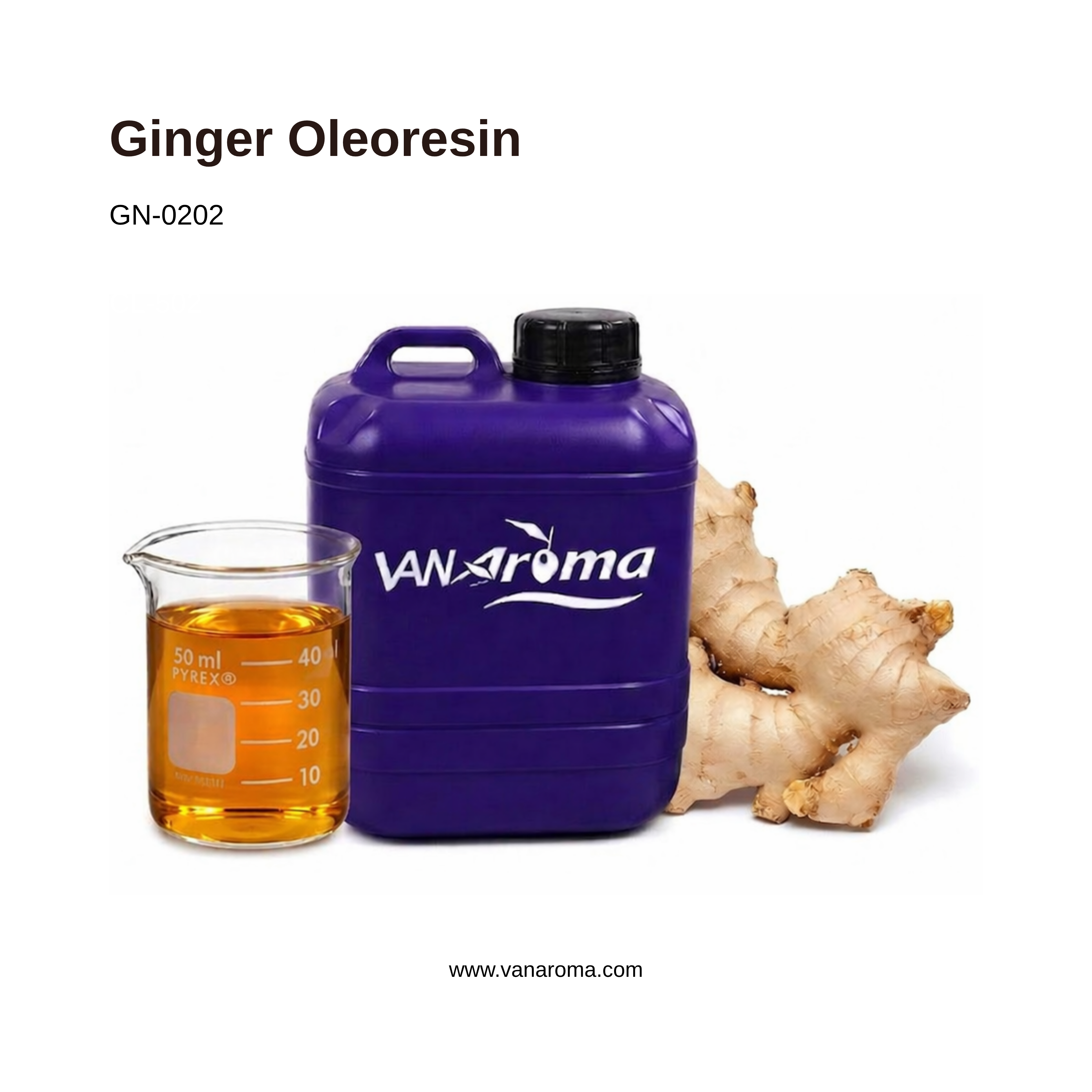 Ginger Oleoresin Pure Essential Oil (GN-0202) Van Aroma