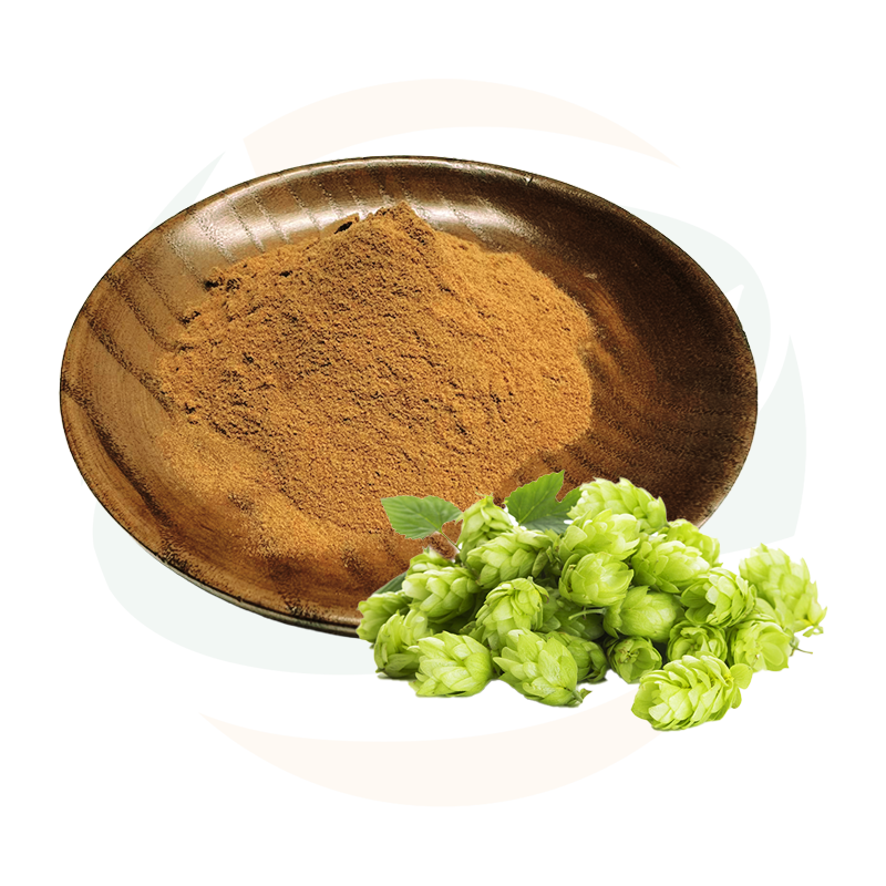 GloweHerb Hop Extract Powder Xanthohumol 5% with Standardized Content, Fine Texture Stable Quality for Functional Formulations