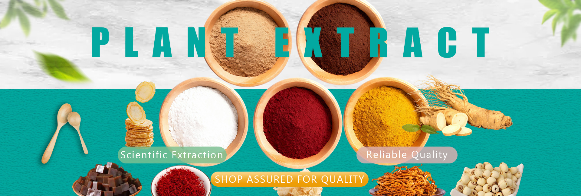 Diosgenin Powder Banner