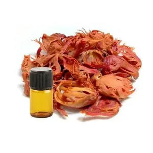 Pure Natural Mace Oleoresin for Food, Beverage &amp; Cosmetic Applications | 100% Pure Spices Oleoresin | OEM Bulk Supply Available