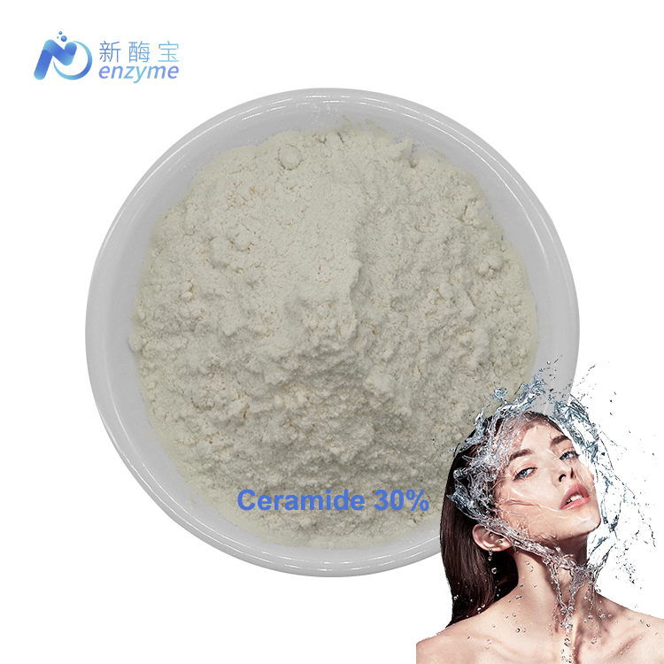 Wholesales Konjac Extract Ceramide NP 30% Cosmetic Grade Ceramide 3 Powder