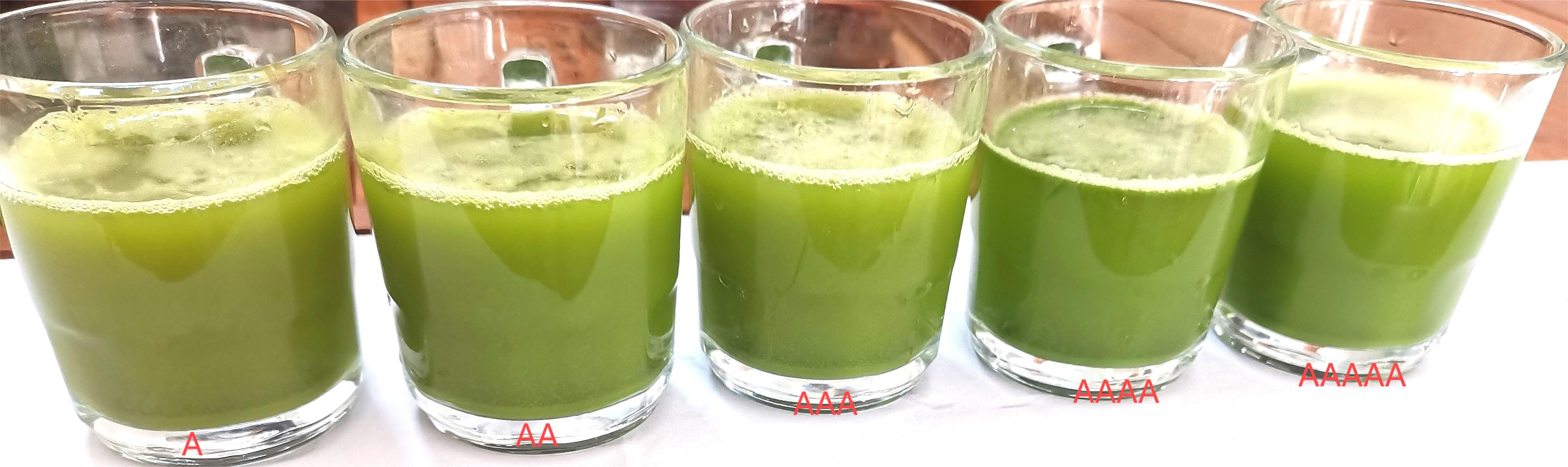 Matcha Process