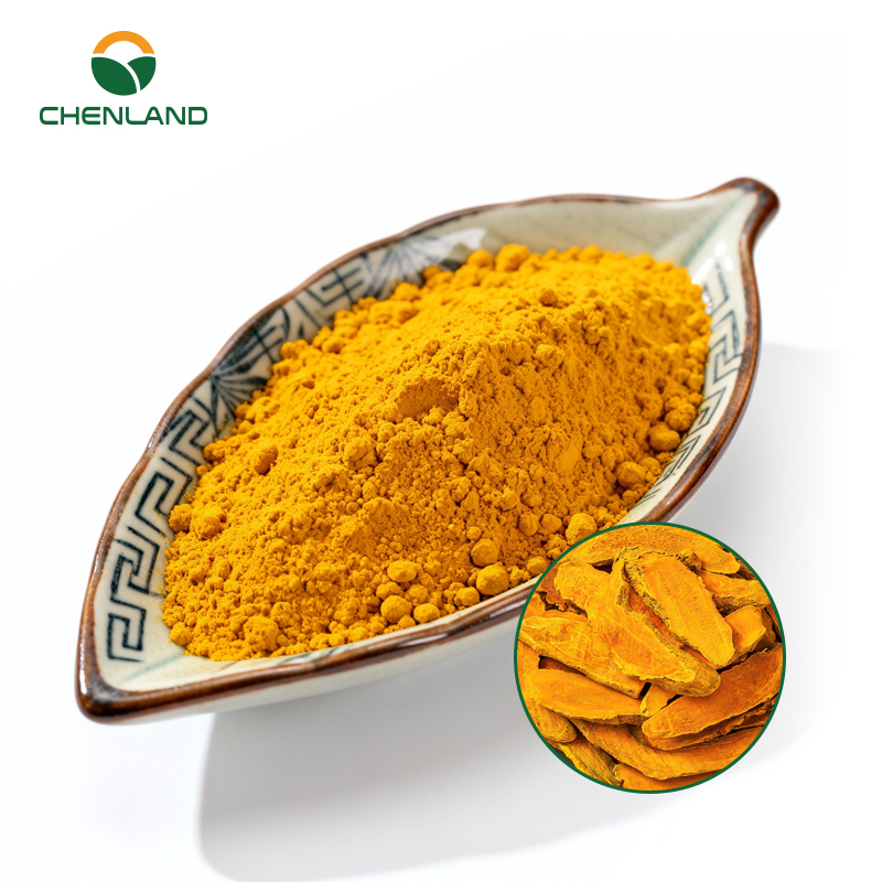Food Grade Herbs Plant Extract CuminUP60 60% 100% Organic Turmeric Powder for Nutritional Supplements