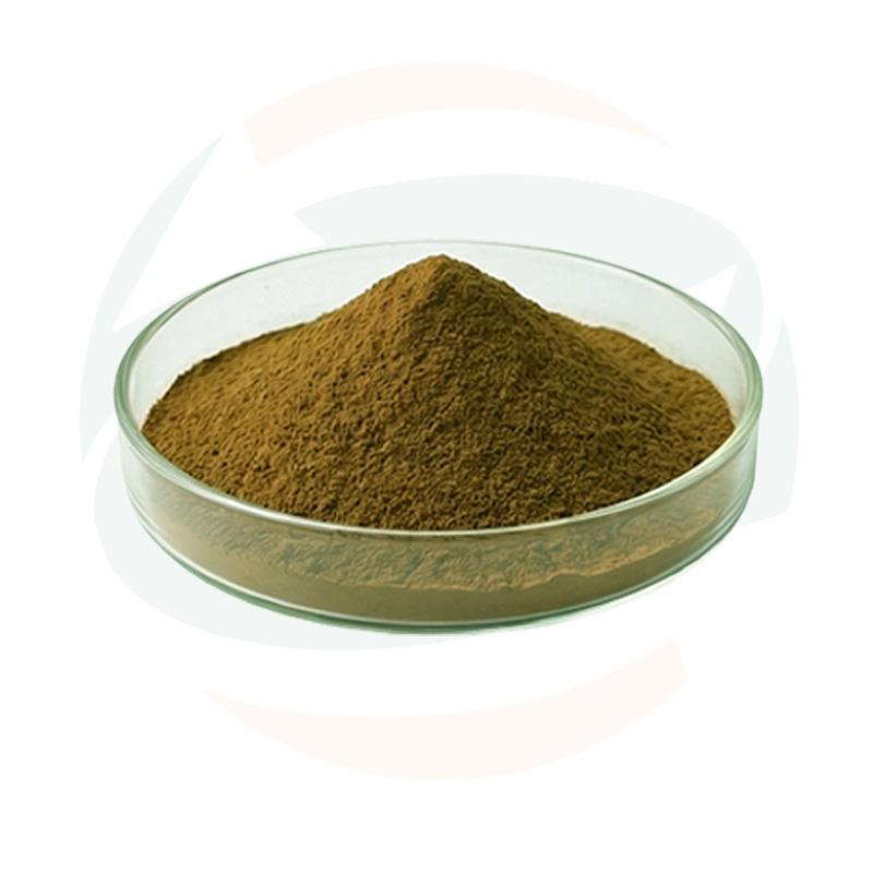 Wholesale 100% Pure Artichoke Leaf Extract Powder Natural Plant Ingredient for Nutraceutical &amp; Functional Food Formulations