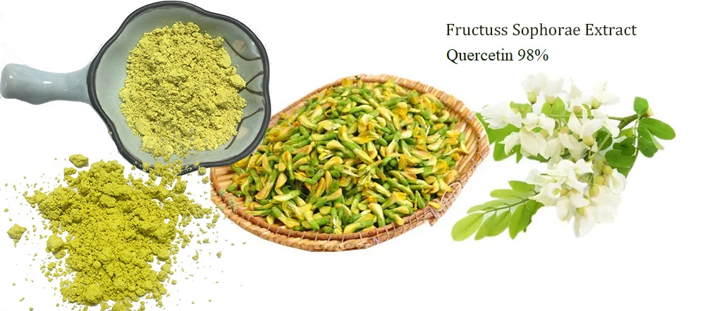 Quercetin Dihydrate Powder Detail