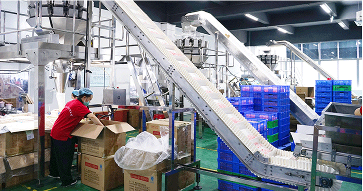 Production Line Machinery 1