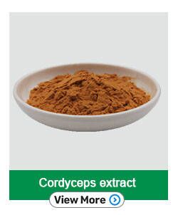 Lions Mane Mushroom Dual Extract Triterpenes 4.0 Hericenones Erinacines Bulk Powder