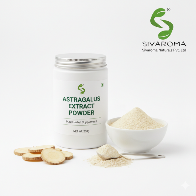 Astragalus Extract Powder Tailored for Industrial Applications Requiring Consistent Plant Derived Inputs