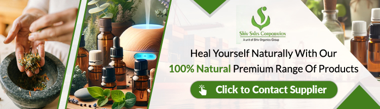 Plant-Derived Aritha Dry Extract Powder for Cosmetic Manufacturing Consistent Quality and Bulk Packaging Solutions