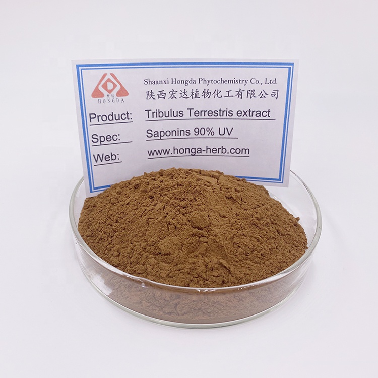 Hongda Supply Natural 90% Saponin Tribulus Terrestris Extract Powder