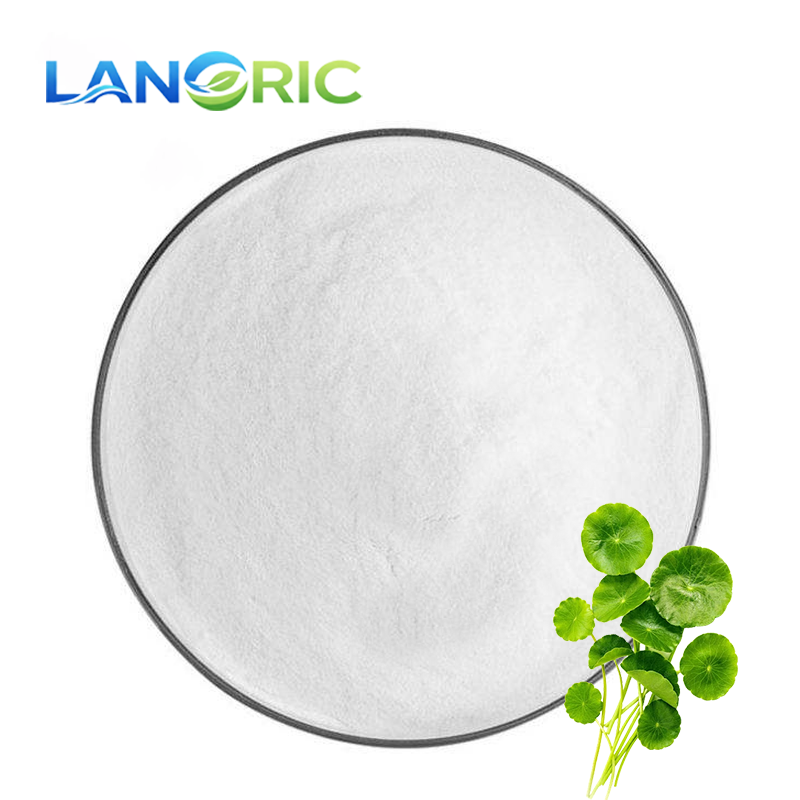 Cosmetic Raw Material Centella Asiatica Extract CAS 16830-15-2 Asiaticoside Powder For Serums Repair Creams Masks Ointments