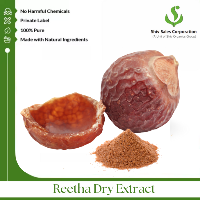 Plant-Derived Aritha Dry Extract Powder for Cosmetic Manufacturing Consistent Quality and Bulk Packaging Solutions