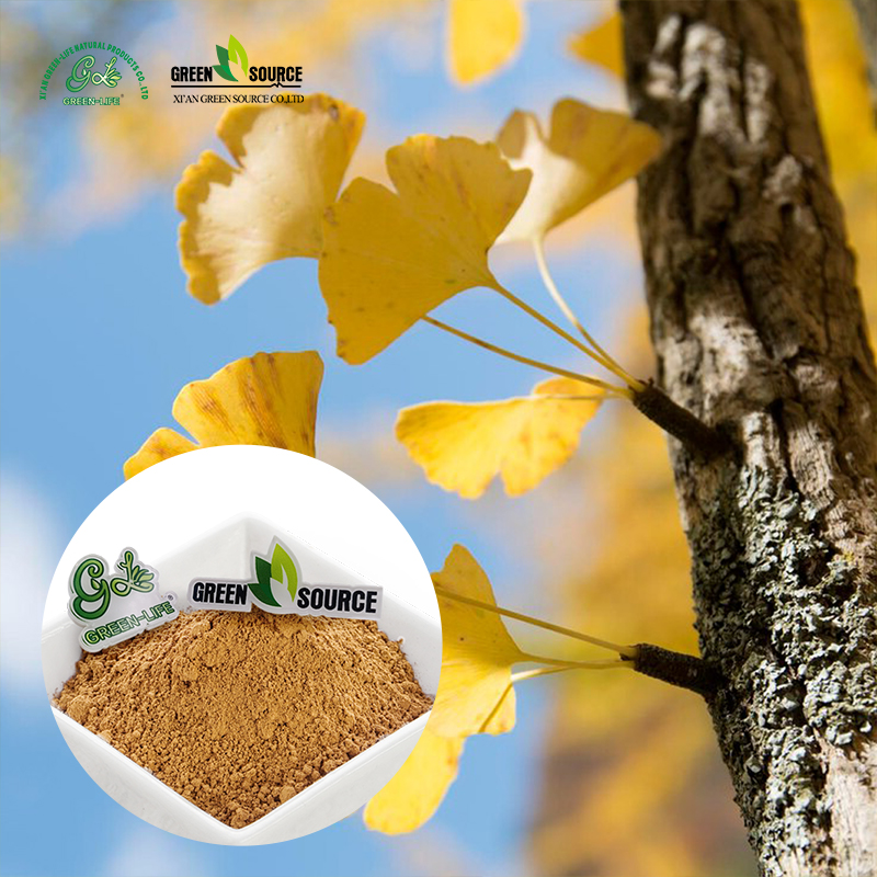 Ginkgo Biloba Extract showcase 3