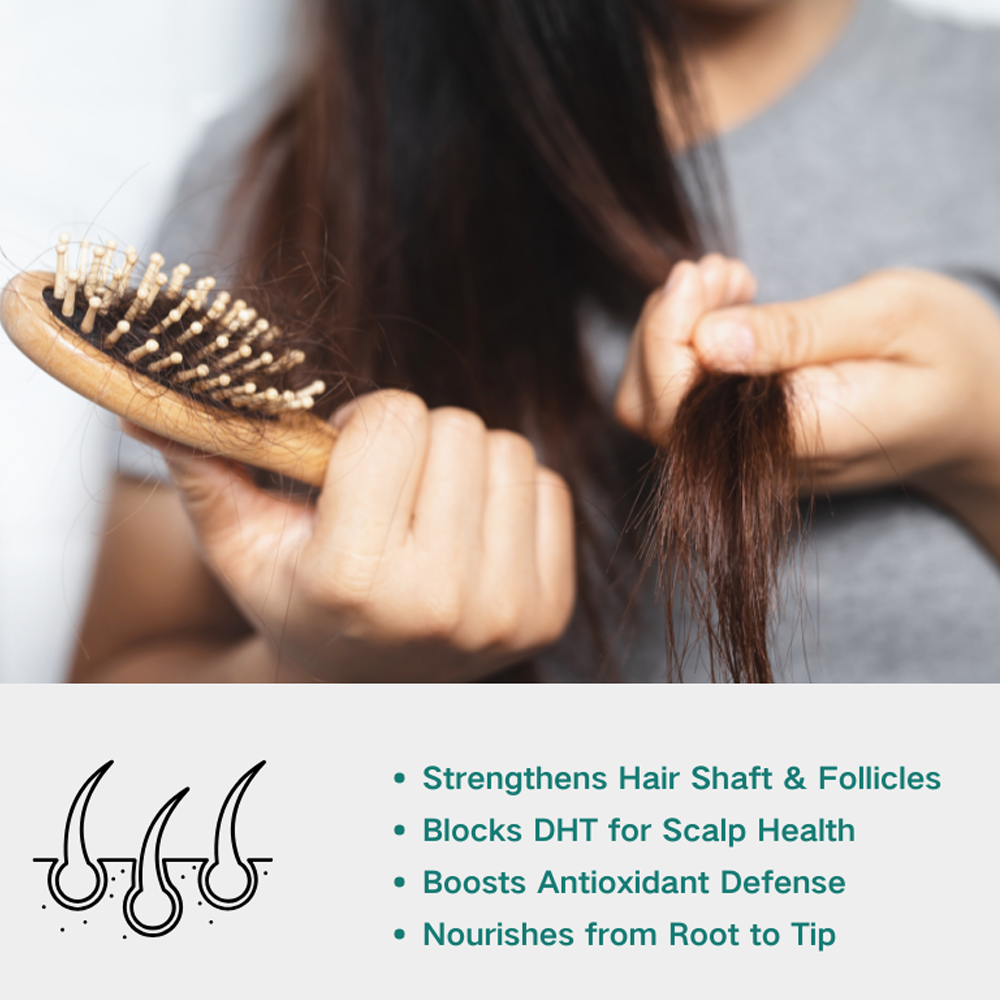 OEM/ODM Adult Women's Balance Hair Growth Nutraceutical Capsules Supporting Hair Growth Reducing Hair Loss 120 Capsules Per