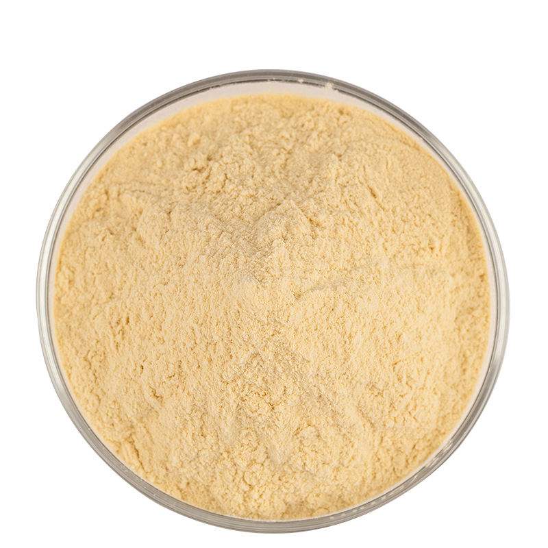 Supply High Quality Food Grade Yeast Extract 70%80% Beta-Glucan Powder Cas: 9012-72-0 Yeast Beta-Glucan Powder