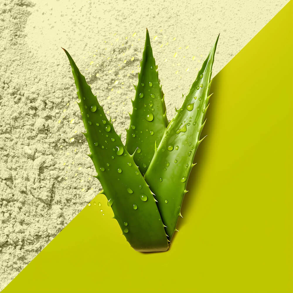 Factory Supply Aloe Powder Food Grade Pure Natural Wholesale Bulk Organic Aloe Vera Powder
