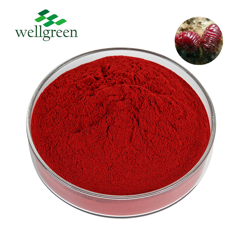 Natural Cochineal Carmine Extraction