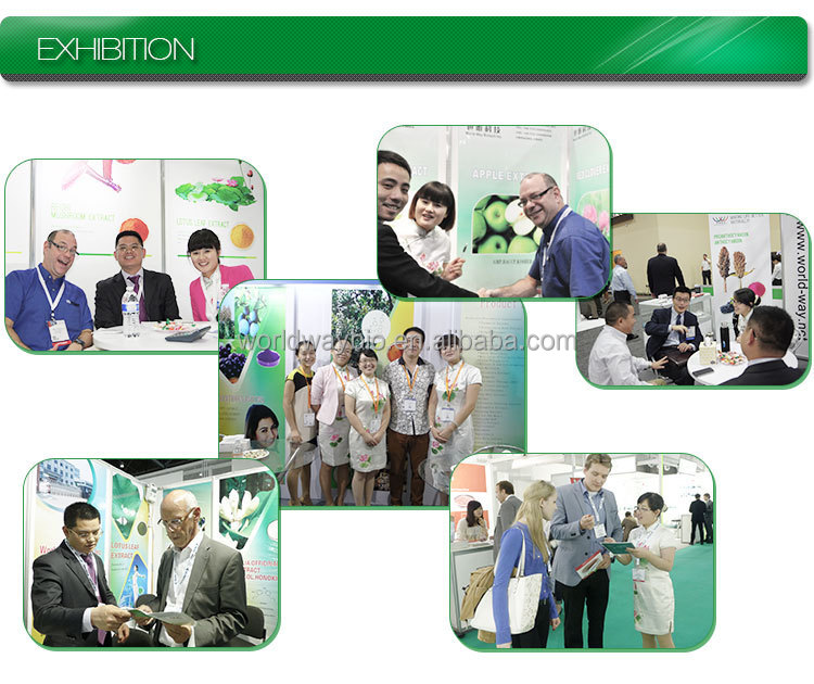 Exhibition Booth