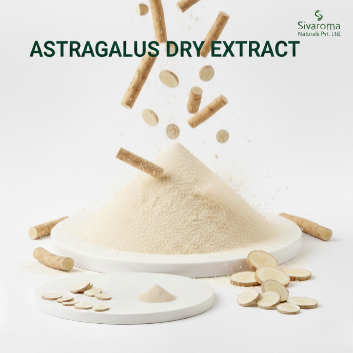 Astragalus Extract Powder Tailored for Industrial Applications Requiring Consistent Plant Derived Inputs