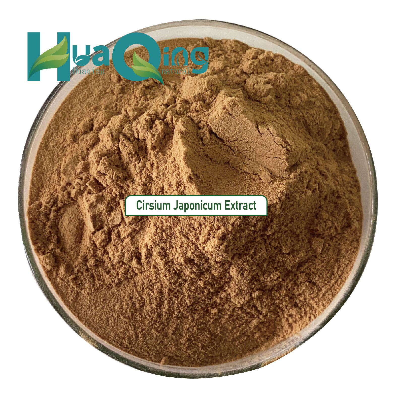 100% Pure Natural Organic Cirsium Japonicum Extract Powder Herb HPLC Tested Packed in Plastic Container