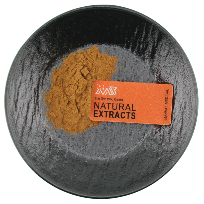 Factory Supply High Quality Raw Material Bulk Supply OEM Lotus Leaf Extract