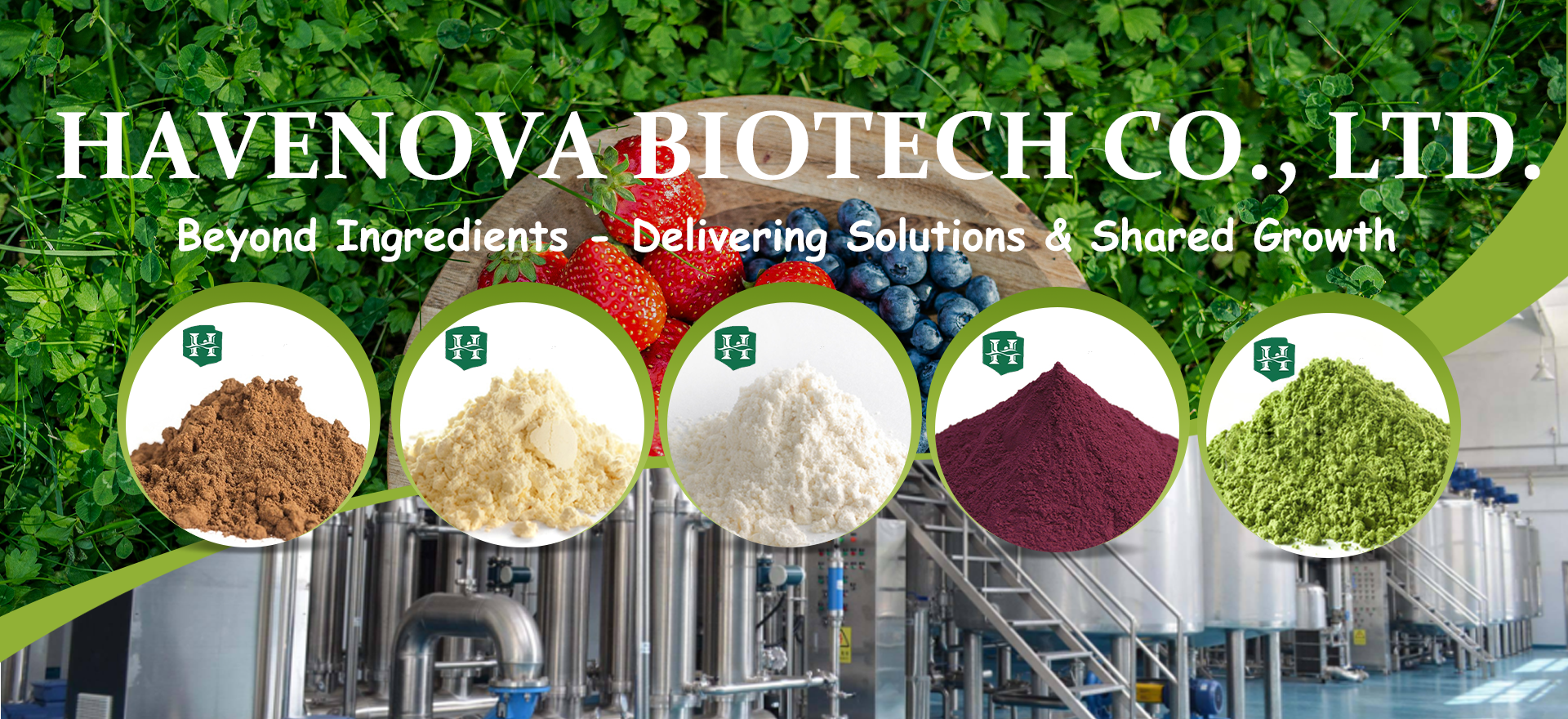 Health Ingredients Overview