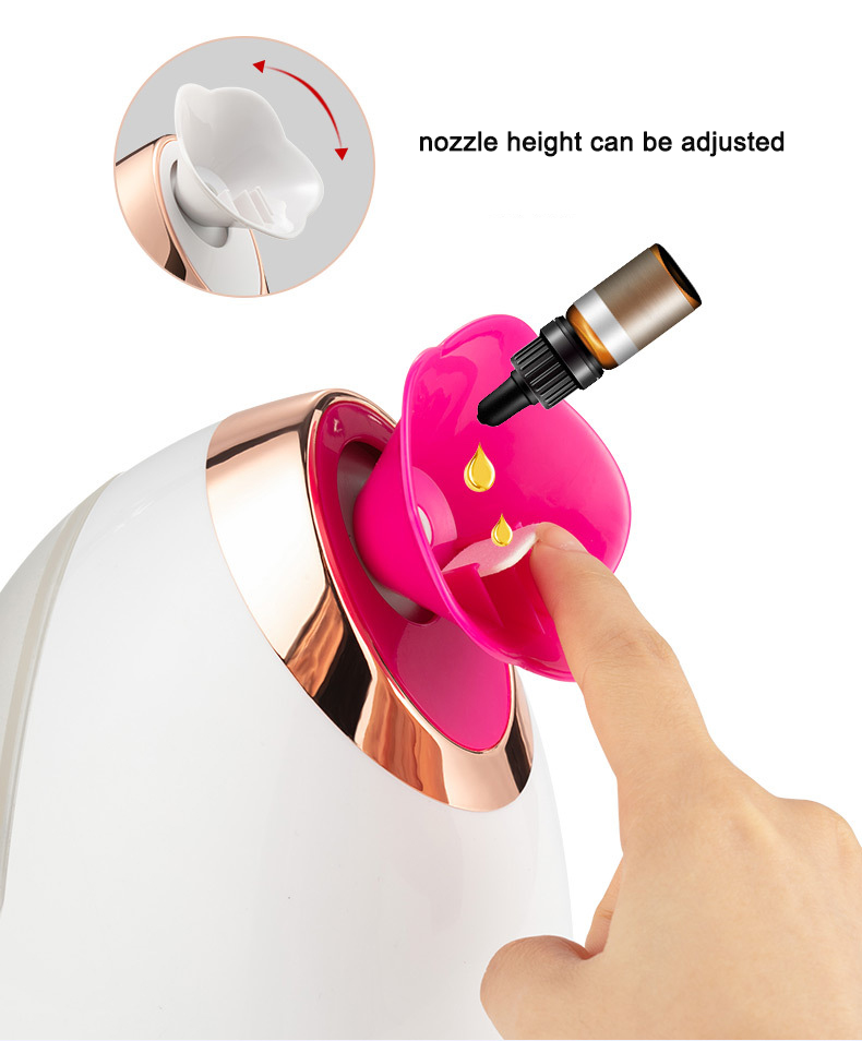 New Arrival Portable Ionic Facial Steamer Sprayer for Face 100ml Nano Machine