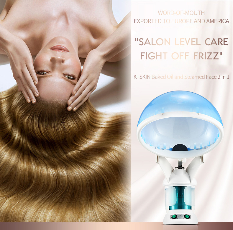 Hair Steamer and Facial Steamer