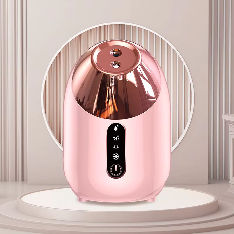 Professional Face Steaming 4 in 1 Warm Home Electric Skin Deep Cleaner Spa Sauna Ozone Steam Nano Ionic Portable Facial Steamer