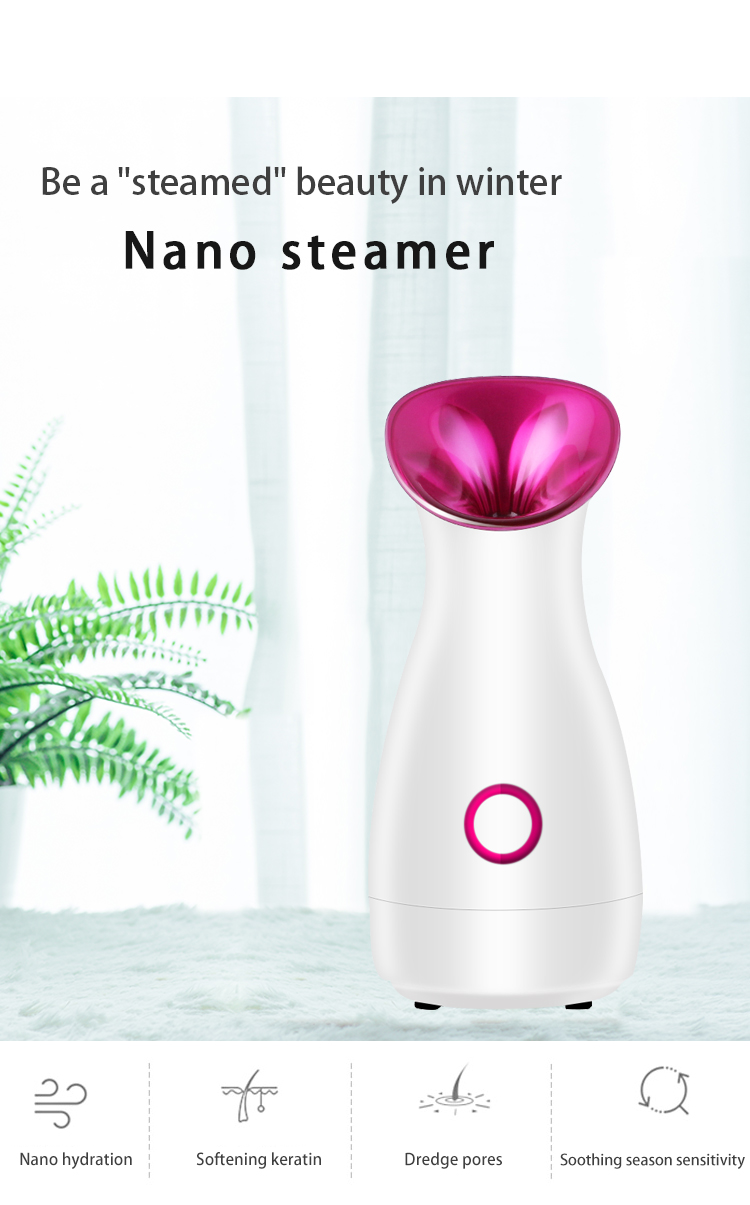 Hot Mist Facial Steamer