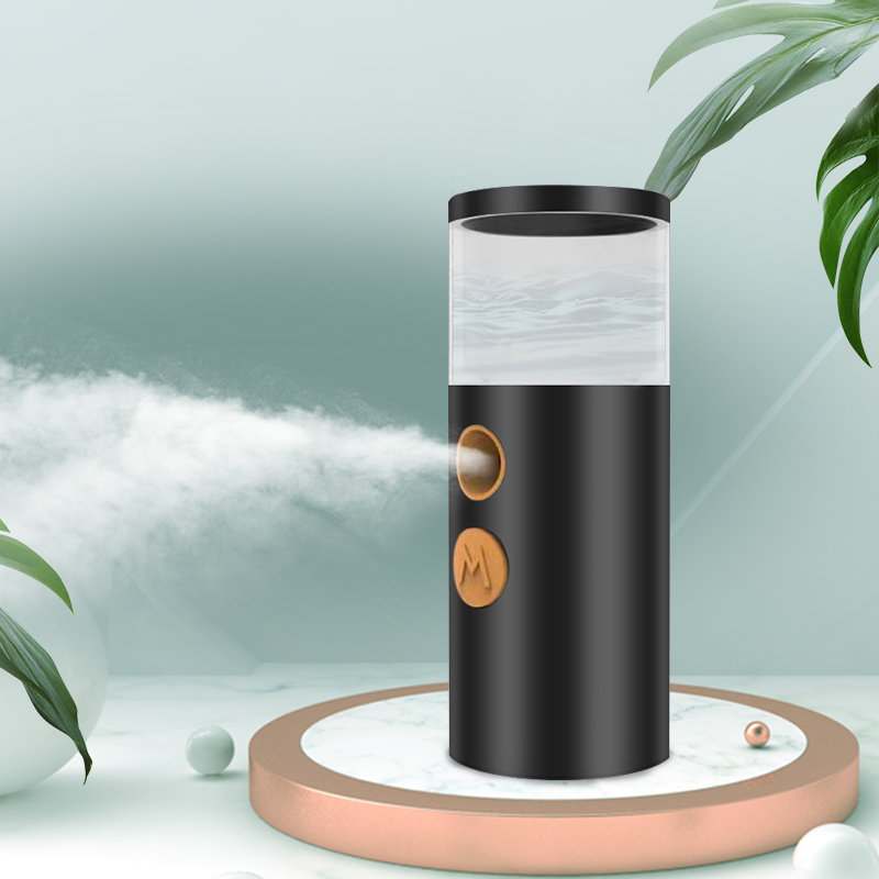 Hot Sale High Quality Factory Price Portable Handy LED Light Ionic Facial Steamer Nano Mist Sprayer