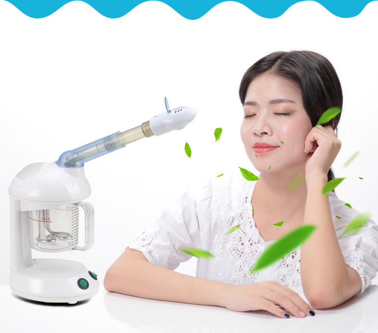 Use Private Pabel Electric Face Sauna Warm Mist Steam Ionic Nano Facial Steamer Machine with Mirror Beauty Professional Home OEM