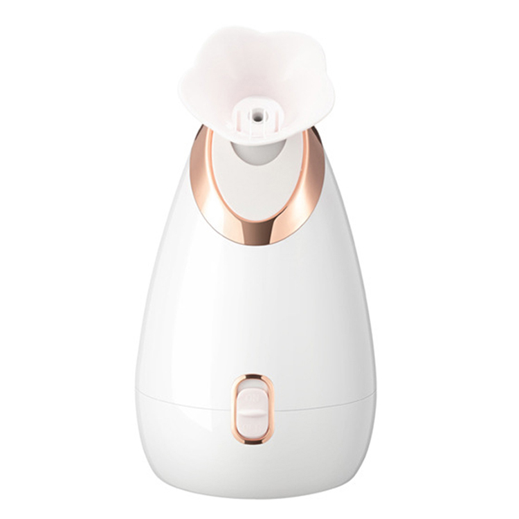 New Arrival Portable Ionic Facial Steamer Sprayer for Face 100ml Nano Machine