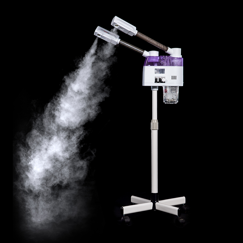 Aromatherapy Ozone Facial Beauty Professional Spa And Skin Care 2-in-1 Face Steamer