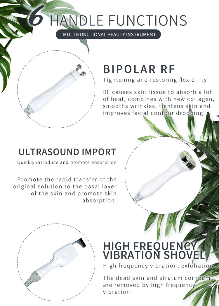 Hydro 6 in 1 Small Bubble H2O2 Hydrogen Oxygen Jet Beauty Device Skin Cleansing Dermabrasion Facial Machine Detail
