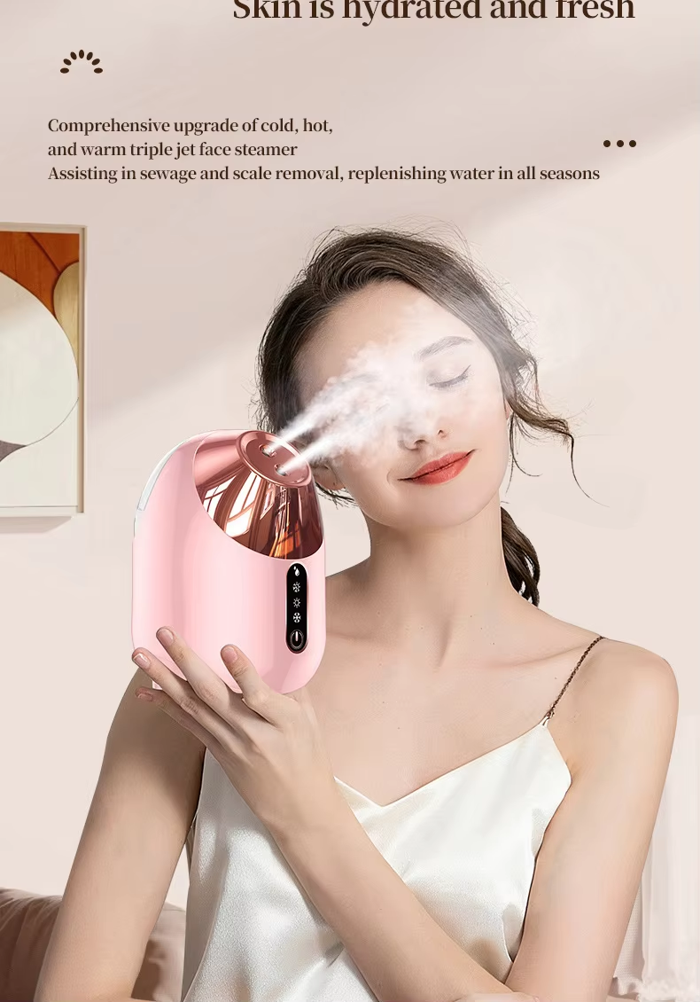 Professional Face Steaming 4 in 1 Warm Home Electric Skin Deep Cleaner Spa Sauna Ozone Steam Nano Ionic Portable Facial Steamer