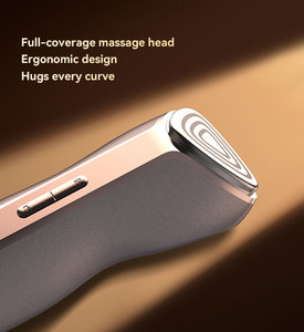 Private Label RF &amp; EMS V-Line Face Lifting Machine Beauty Device LED Hand-held Light Therapy Face Care Device
