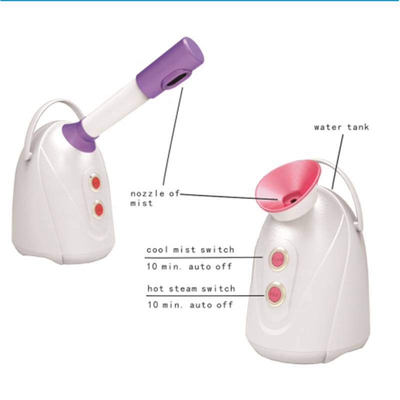 2021 Hot Selling Table Top Personal Household Blackhead Remover Home Use Face Spa Nano Ionic Mist Sprayer Beauty Facial Steamer