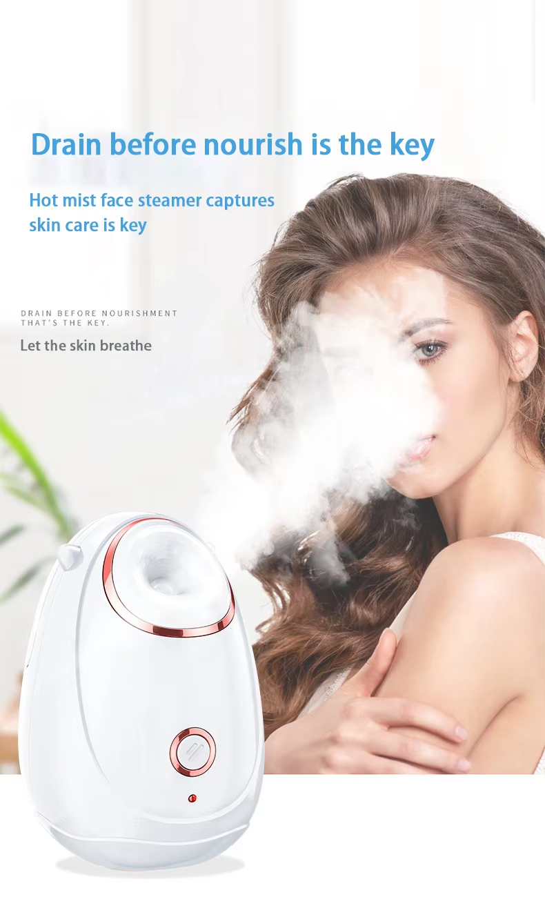 Facial Steamer Detail 1