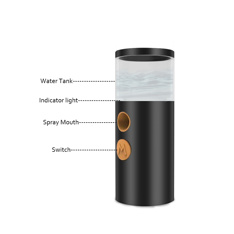 Hot Sale High Quality Factory Price Portable Handy LED Light Ionic Facial Steamer Nano Mist Sprayer