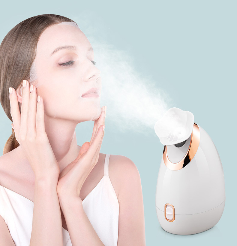 New Arrival Portable Ionic Facial Steamer Sprayer for Face 100ml Nano Machine