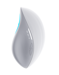 Multi-Function Stainless Steel EMS Facial Device Red Blue Yellow LED Light Heating Vibration 2in1 Eco-Friendly for Skin Care