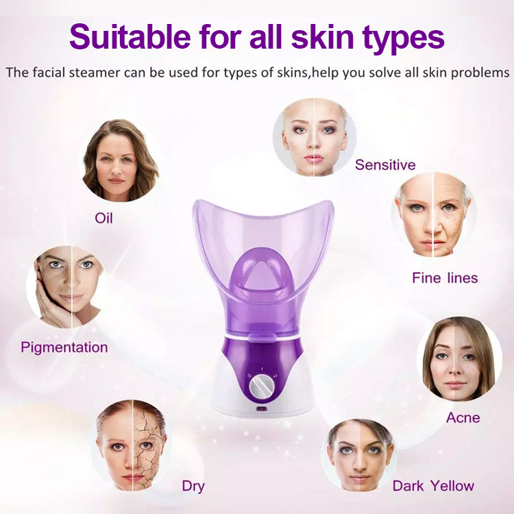 Wholesale Professional Usb Smart Skin Care Spa Mini Nano Mist Sprayer Humidifier Ionic Face Moisturizer Cleaner Facial Steamer