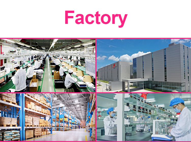 Warehouse Overview